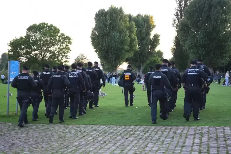 Die Polizei im Einsatz auf der Neckarwiese.