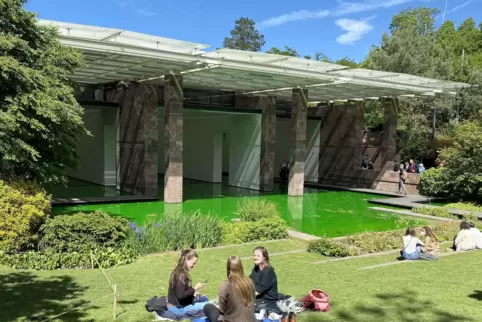 Picknick vor der musealen Seebühne: Ólafur Eliassons Installation „Live“ in der Baseler Fondation Beyeler von außen. Picknick vor der musealen Seebühne: Ólafur Eliassons Installation „Live“ in der Baseler Fondation Beyeler von außen.