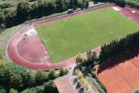 Die Hauensteiner favorisieren einen Kunstrasenplatz für das Wasgaustadion, den der Bauausschuss des Kreises aber abgelehnt hat. 