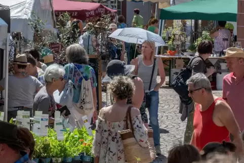 Der Kräuter- und Ölmarkt Ende Juni 2019.