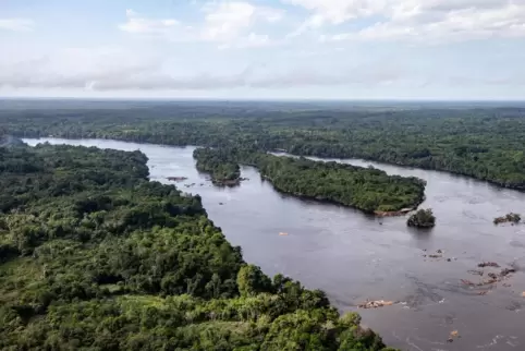 Im brasilianischen Regenwald wurden eigentlich Schutzzonen für indigene Völker eingerichtet. 