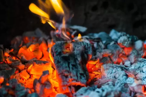 Grillfreunde, die wissen wollen, woher das Holz für ihre Holzkohle kommt, tappen häufig im Dunkeln: Auf den Packungen von 13 der