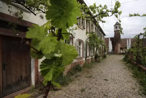 Blick in den Hof. Der Treppenturm ist weithin zu sehen. 