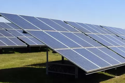 Der Solarpark in Lachen-Speyerdorf soll nur der Anfang sein: Die Stadt will möglichst viele Solaranlagen auf Freiflächen, auch a