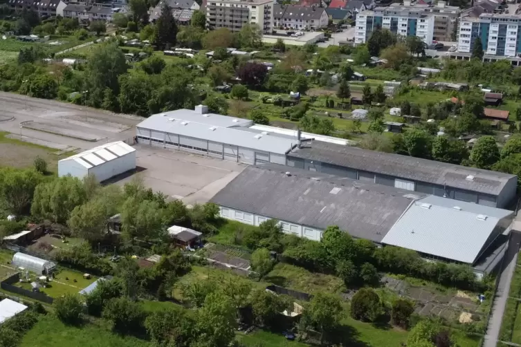 Die DBK-Fl&auml;che erstreckt sich bis zum Dierbach. Auf der anderen Seite des Bachs, rechts im Bild, wurden auf dem ehemaligen Firme