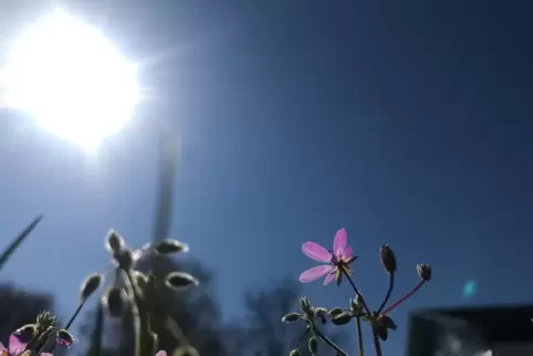 Endlich erwarten uns frühsommerliche Temperaturen, aber auch mit Regen und Gewittern ist zu rechnen.