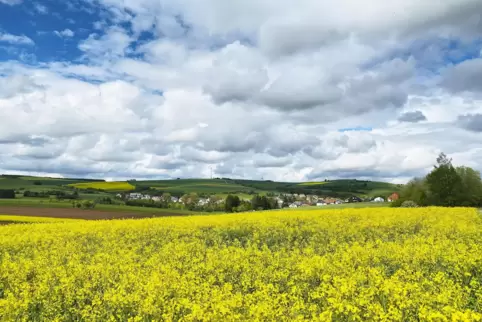 Die schwül-warme Luft bringt auch Wolken mit, die örtlich für ordentlich Niederschlag sorgen können. Insgesamt wird es recht son
