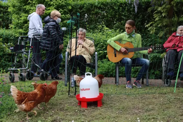 Ich wollt’, ich wär’ ein Huhn: Bewohner und Mitarbeiter des Caritas-Altenzentrums freuen sich über den tierischen Besuch. 