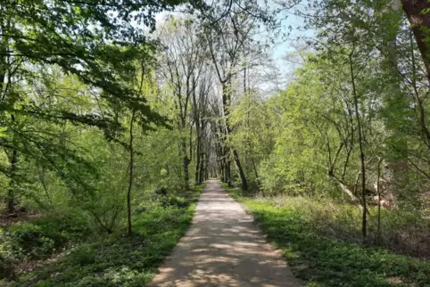 Im Maudacher Bruch bei Kilometer 30. 