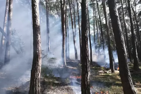Die heißen, trockenen Sommer lösen vermehrt Wald- und Flächenbrände aus. 