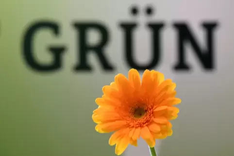 Grüne und Umwelt, das war lange Zeit das Klischee der Öko-Partei. Noch immer gibt es keine grüne Veranstaltung ohne Blümchen.