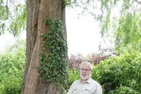 38 Jahre lang arbeitete Theodor Ringeisen beim Forst. Seit 2004 leitete er das Forstamt Westrich vom Sitz in Erlenbrunn aus. 