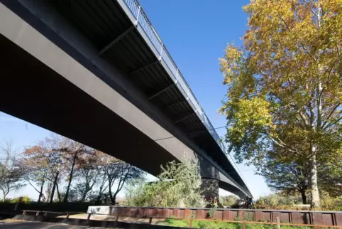 Wichtige Verkehrsachse: die Salierbrücke.
