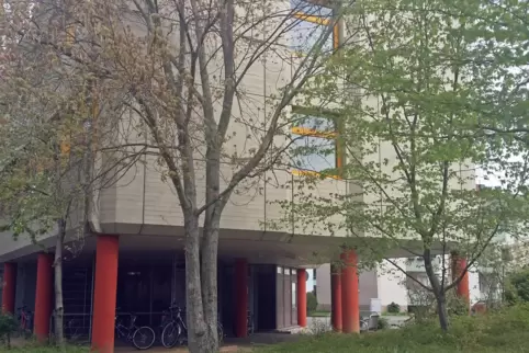 Dieser kurze Weg zwischen den Bushaltestellen entfällt, die Grünfläche weicht einem Neubau. 
