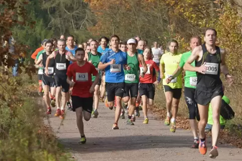 Beliebte Veranstaltung: der Martinslauf des TV Hinterweidenthal. 