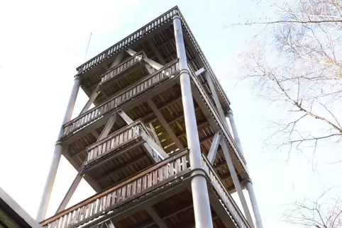 Der Eckkopfturm bei Deidesheim.