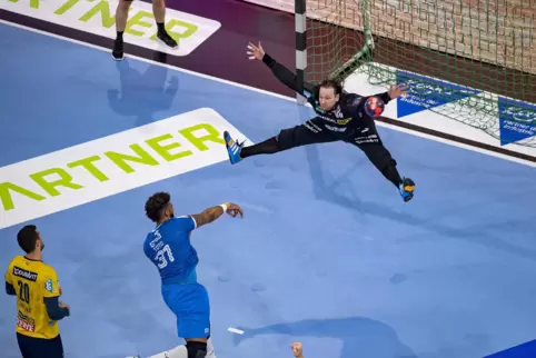 In der SAP-Arena, der Heimat der Rhein-Neckar Löwen, werden 2024 auch Spiele der Handball-Europameisterschaft stattfinden. 