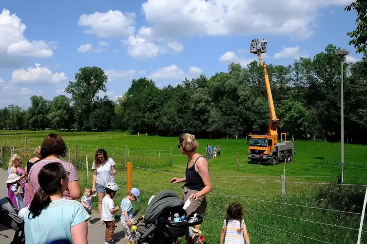 Altheimer Kindergartenkinder und ihre Muttis verfolgen gespannt die Beringung per Hubsteiger.