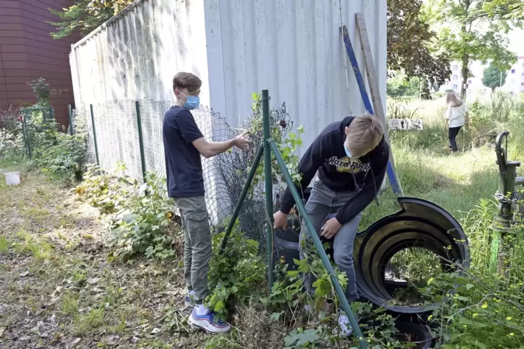 Werkeln am Maschendrahtzaun: Gar nicht so einfach, das Ding zur&uuml;ckzubauen. 