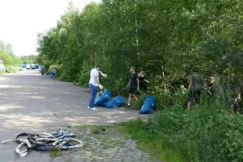 Mitglieder des Jugendstadtrates packten fleißig mit an, um Müll aller Art aus dem Gebüsch zu holen. Auch richtig eklige Sachen. 
