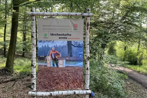 „Wald wirkt Wunder“, ist Thomas Brenners Fotoprojekt überschrieben. „Wald wirkt Wunder“, ist Thomas Brenners Fotoprojekt überschrieben.
