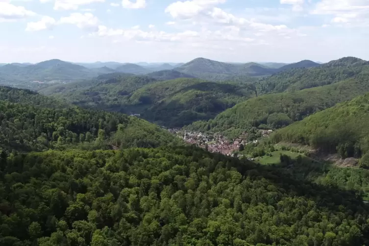 Der Pf&auml;lzerwald mit Blick auf Ramberg.