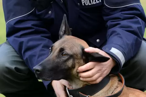 Die Flüchtigen brachen ihre Flucht jedoch nicht ab, sondern griffen den Beamten an, weshalb der Diensthund eingesetzt wurde.