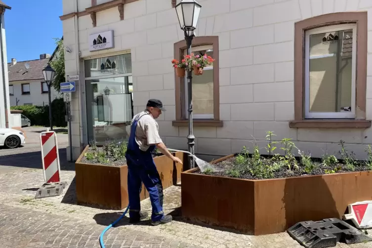 Waldemar Malinowski gießt die frisch bepflanzten neuen Blumenkübel in der Sandstraße.