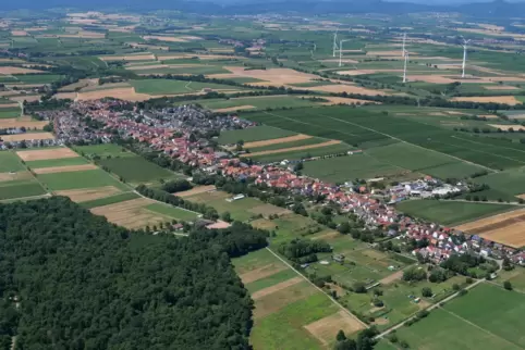 Gilt ein Gestüt im Landschaftsschutzgebiet als privilegiert oder nicht? Das ist die Frage im Freckenfelder Rat. 