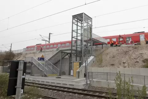 Wegen Arbeiten an den Oberleitungen fallen nächste Woche S- und Regionalbahnen aus. 