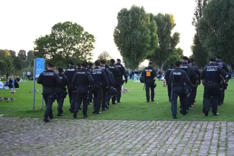 An Pfingsten war es in Heidelberg auf den Neckarwiesen zu Zusammenstößen von Feiernden mit der Polizei gekommen.
