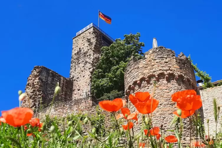 Hoch hinauf: Am Samstag ist der Turm der Wachtenburg wieder offen. 