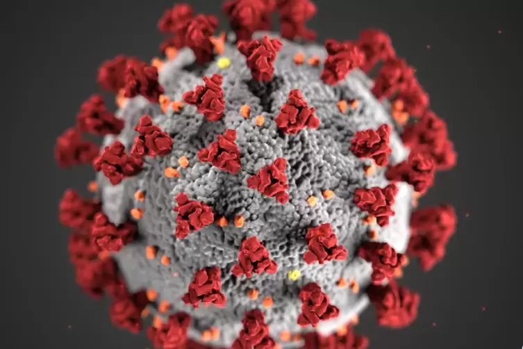 Ein Modell des Coronavirus’. 
