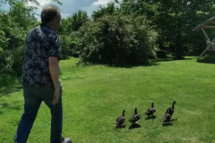 Mit den Enten im G&auml;nsemarsch. 