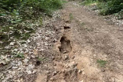 Typische Erosionsschäden.