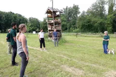 Der Klimawandel stellt Forstamtsleiterin Monika Bub (re.) und ihr Team vor immer neue Herausforderungen. 