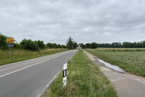 Der Radweg nach Bellheim, den der Rat seit 15 Jahren fordert, soll rechts entlang der K8 verlaufen. 