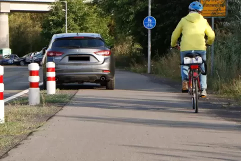 Der neue Radweg zwischen Langmeiler Bahnhof und Alsenbrück-Langmeil (Foto) ist fertiggestellt. Nun soll noch der bestehende Absc