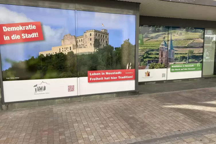 Sieht zwar nett aus, ist aber trotzdem nicht die richtige Lösung: Plakate an einem Leerstand in der Fußgängerzone. Der Citymanag