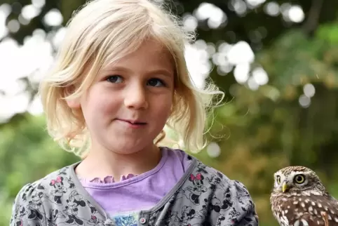 Maja, die Tochter von Falkner Michael Hörner mit einem Steinkauz, dem Maja ihren eigenen Namen gegeben hat.