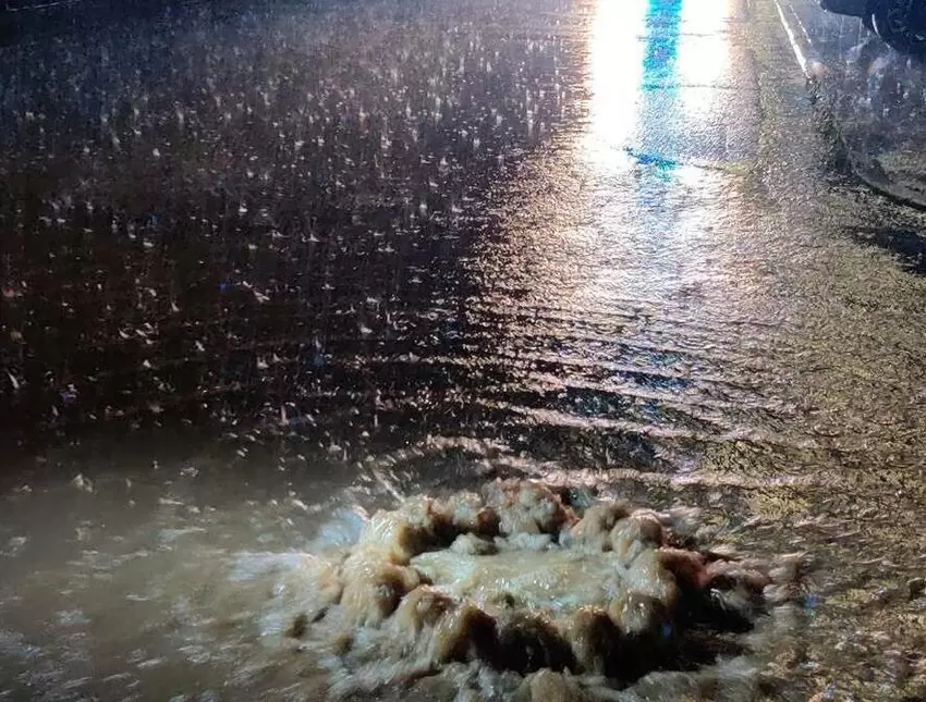 Einsatzbild aus der Sickinger Straße in Ellerstadt von ca. 4.30 Uhr.