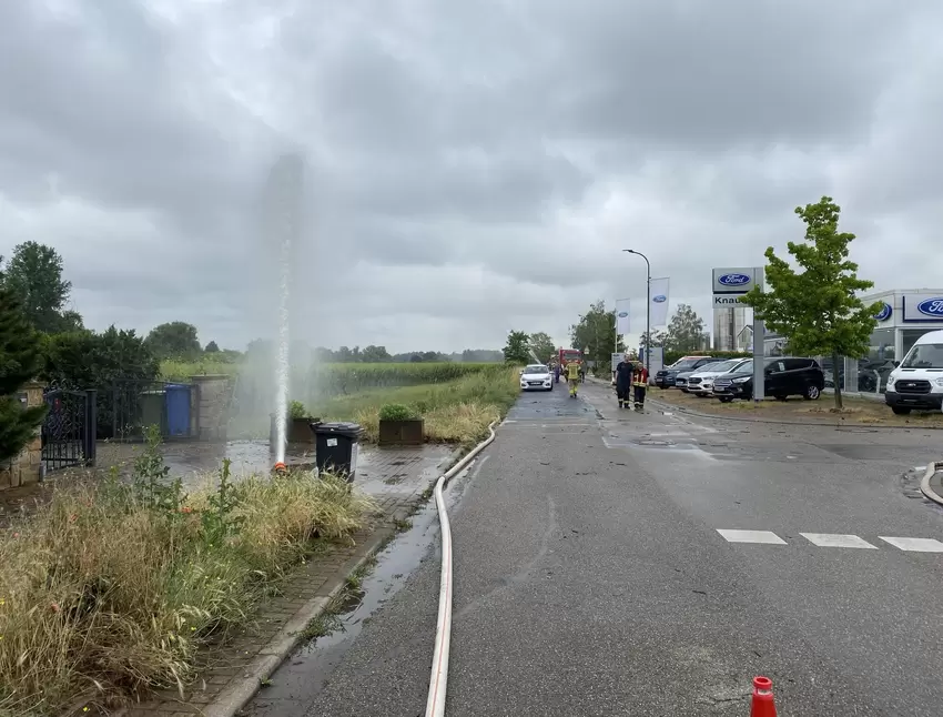 Wasserfontäne: Feuerwehr und THW pumpen in Ungstein im Akkord Keller aus.