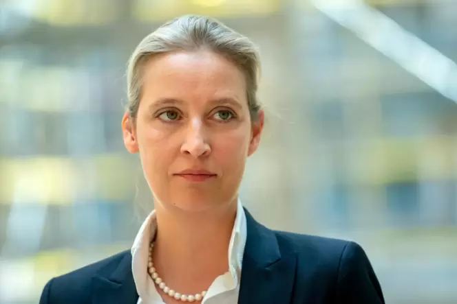 Alice Weidel soll zu den AfD-Politikern gehören, die ein Unternehmer in Luxushotels eingeladen hat.