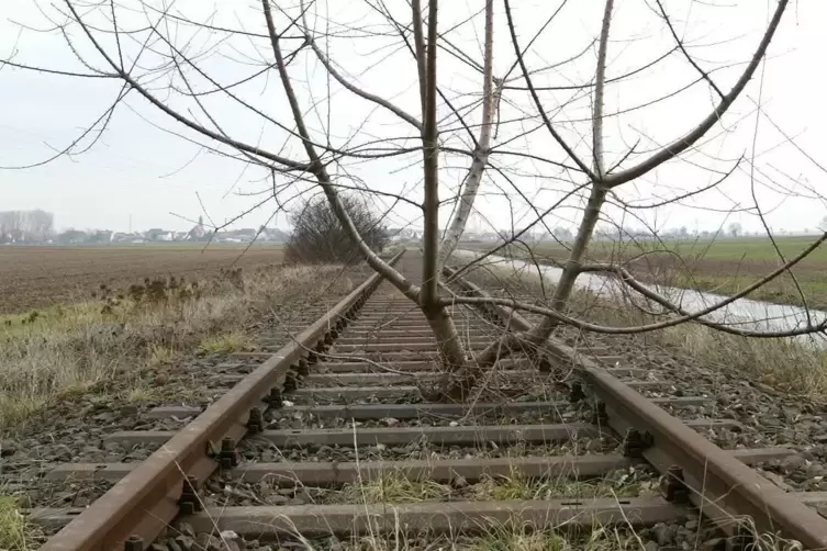 Stillgelegte Bahnstrecke bei Landau. 