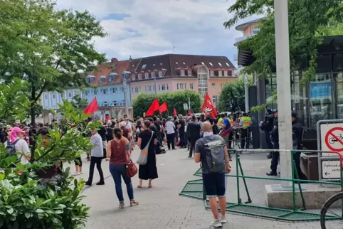 Die Linke bei einer Demonstration für soziale Gerechtig keit in Germersheim. 