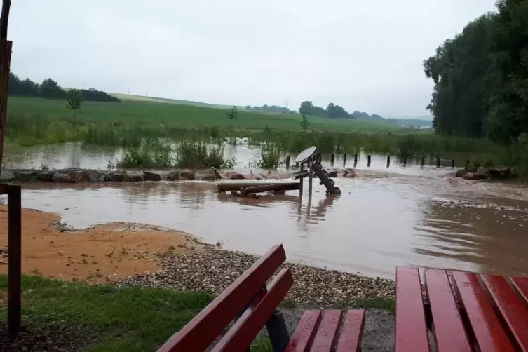 Renaturierungsgebiet unter Wasser.