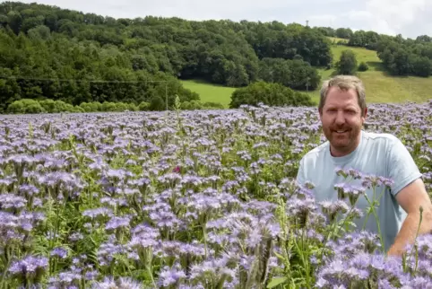Im Blütenmeer: Landwirt Gerd Zimmer hat sich vor der Aussaat bei einem Imker informiert