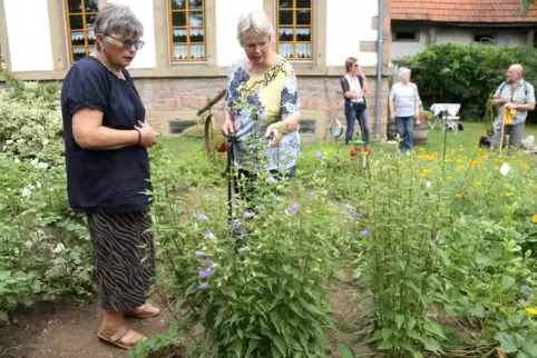 Helga Kirchmer (links) vom Ausbacherhof nahe Reipoltskirchen zeigt Besucherin Roswitha Christmann ihren Garten.