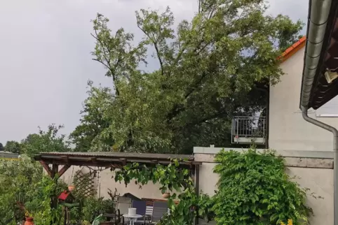In Rödersheim ist ein Baum auf ein Haus gestürzt. 