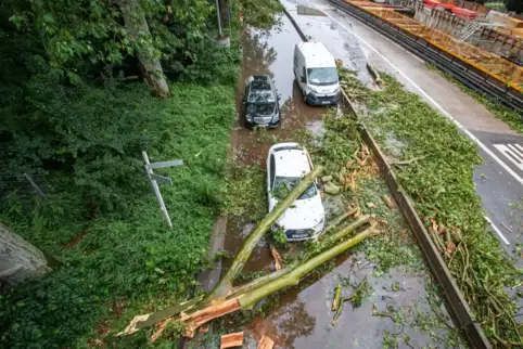Umgestürzte Bäume auf einer Straße am Stuttgarter Hauptbahnhof. 